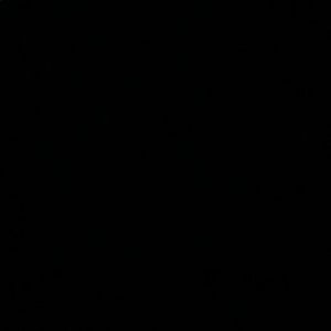 Meet your Posher, Paige